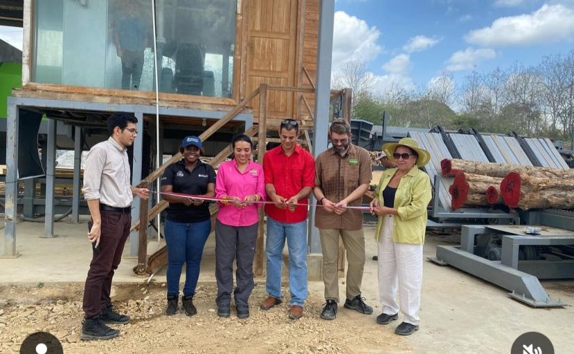 Proyecto Innovador en la Industria Maderera Regional